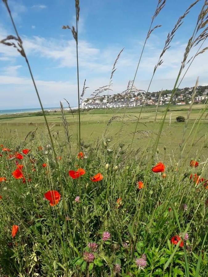 Maison Entiere La Longe'Yeres Saint-Martin-le-Gaillard Kültér fotó